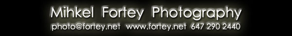 Mihkel Fortey - 647 290 2440
